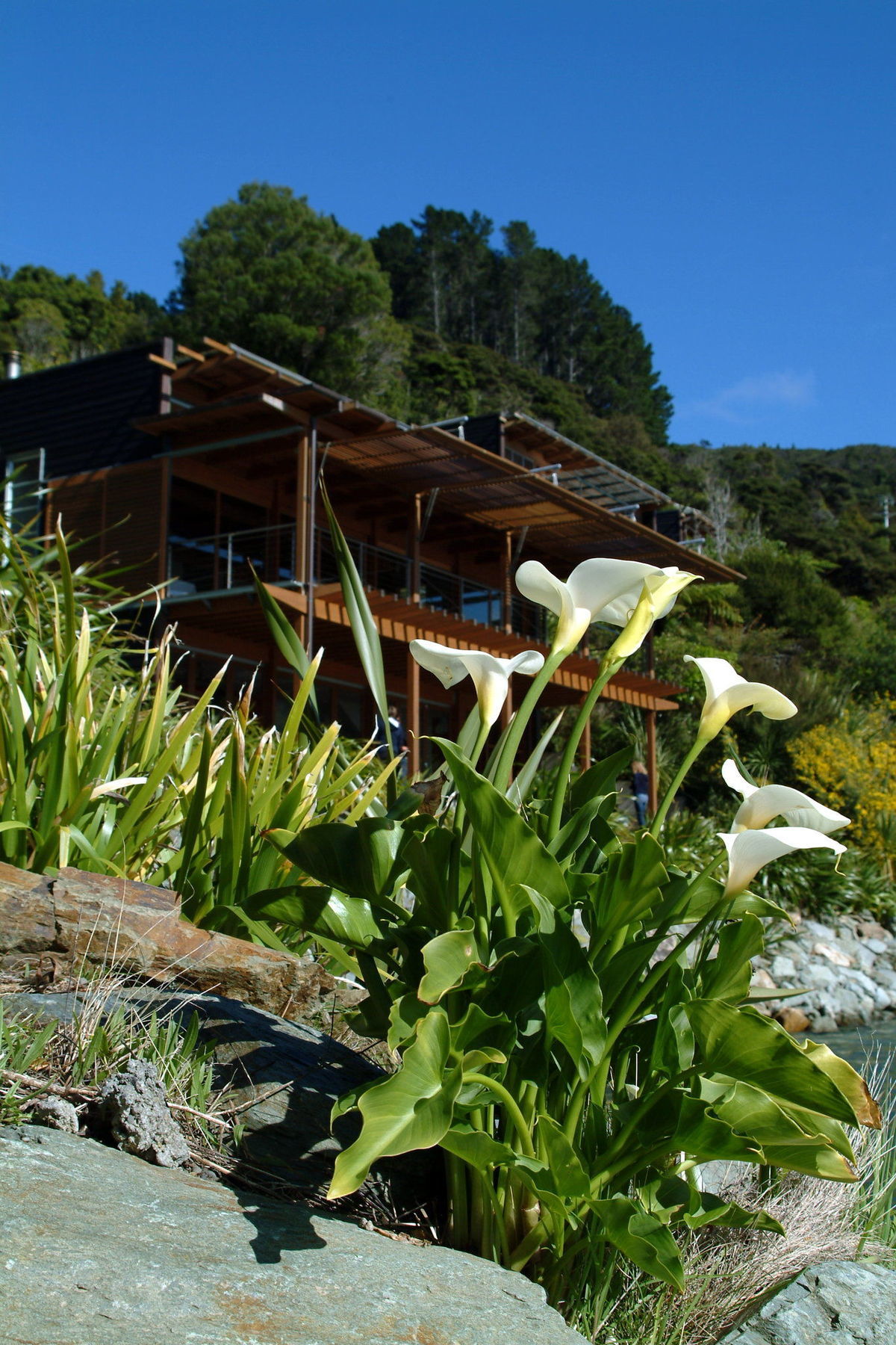 Bay Of Many Coves Hotel Arthur's Bay Buitenkant foto